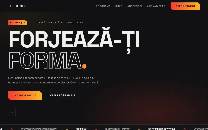 Demo: sală de fitness FORGE
