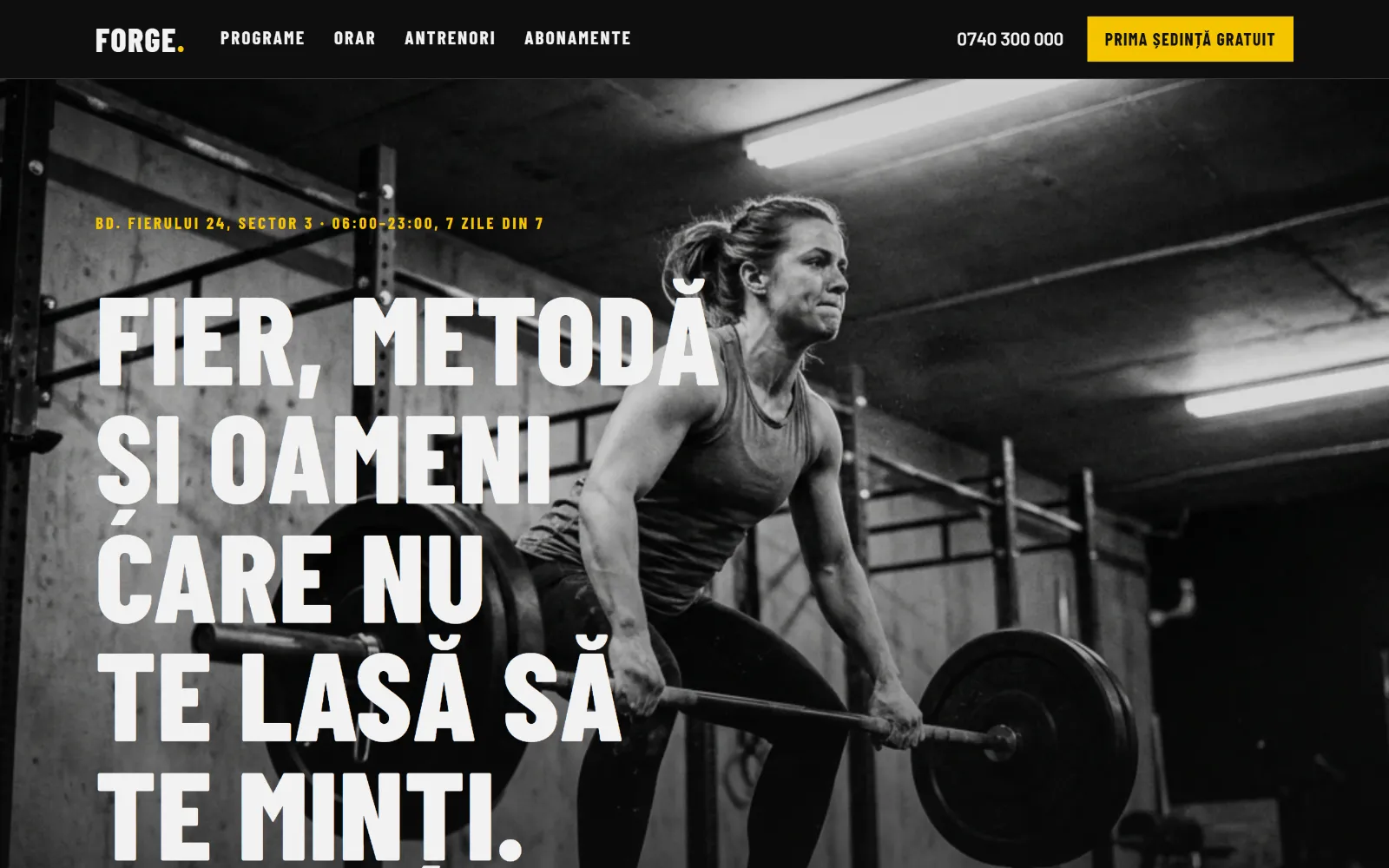 Demo: sală de fitness FORGE